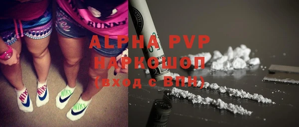 индика Абаза