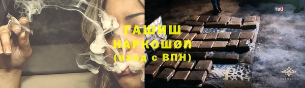 индика Абаза