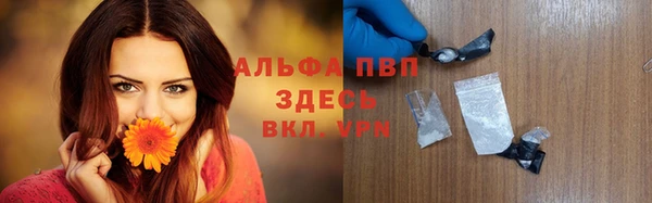индика Абаза