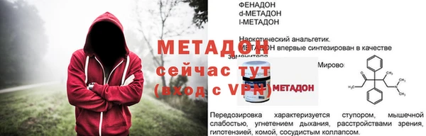 индика Абаза