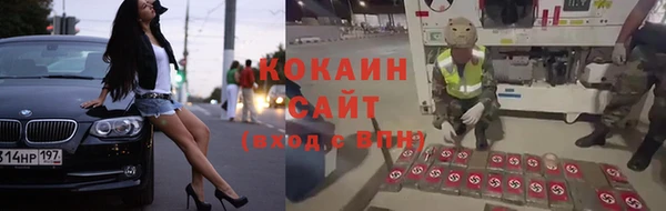 прущие грибы Абдулино