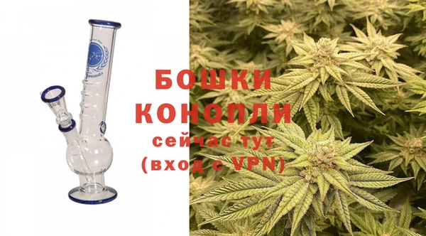 прущие грибы Абдулино