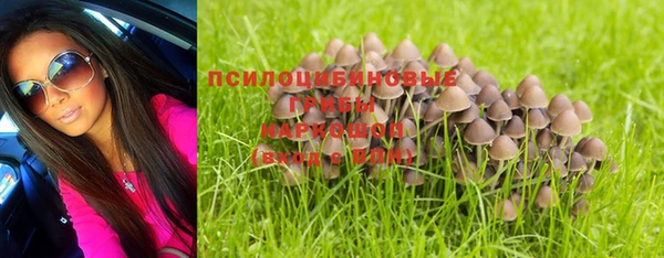 прущие грибы Абдулино