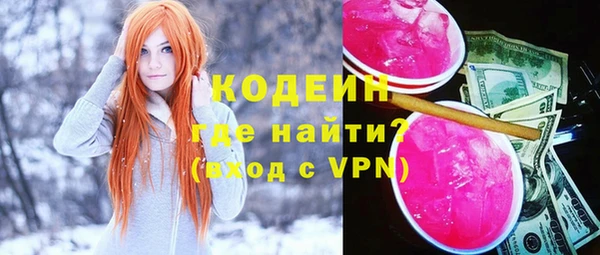 индика Абаза