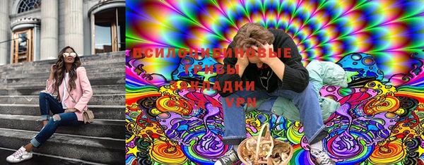 прущие грибы Абдулино