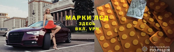 индика Абаза